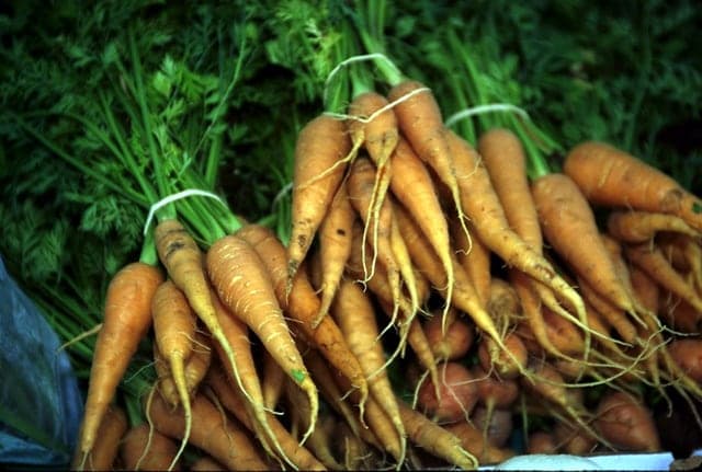 Cà rốt tươi rửa sạch